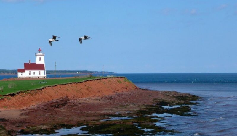A red and white lighthouse situated on a coastal cliff with two birds flying above the ocean.