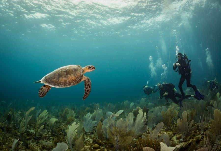 diving_sites_bonaire